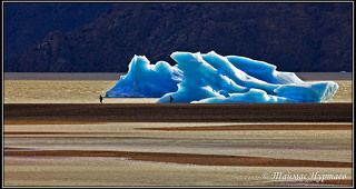 ПАТАГОНИЯ.   ОЗЕРО  ГРЕЙ.