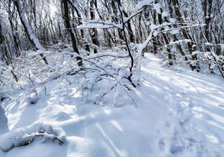 панорамка, камера телефона Nokia X2 , CS 5