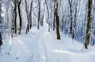 панорамка, камера телефона Nokia X2 , CS 5