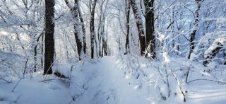 панорамка, камера телефона Nokia X2 , CS 5