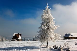 Зимнее нарядное