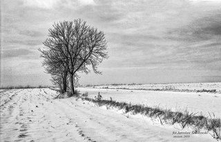 в сторону Келецкой Школы Пейзажа 1