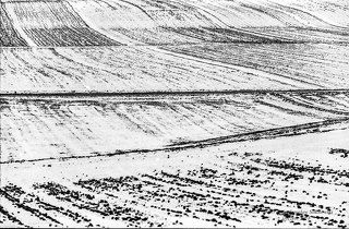 в сторону Келецкой Школы Пейзажа 3