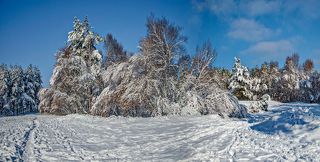 Царство зимы
