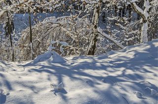 С осенними украшениями