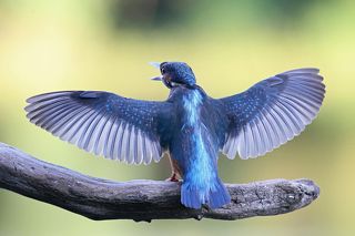 - О, и Вы здесь?!