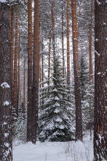 Если в природе рамки?