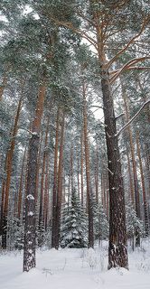 Природа не ограничена. Человек сам создает рамки