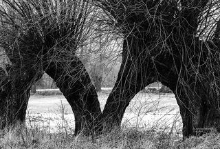 pomiędzy-между