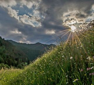 Прорвалось солнышко
