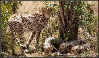 ТЕПЕРЬ И НАМ МОЖНО