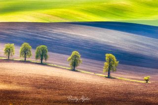 http://ilyshev.photo