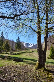 Вдали заснеженный хребет Боржава