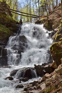 Полноводный Шипот