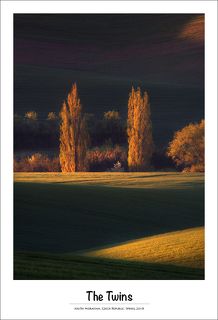 Южная Моравия, весна 2018, раннее утро.
В одном \