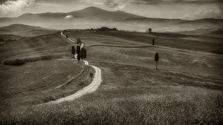 Дорога гладиатора (сепия)