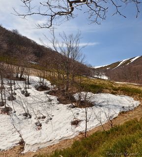 Про снежные проталины
