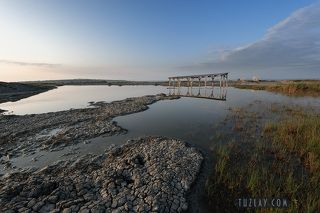 Навес в этом году пока отдыхает, а как наступит жара - видно будет)