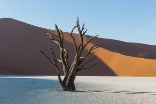 Namibia Deadvlei