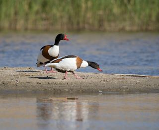 Семейная жизнь