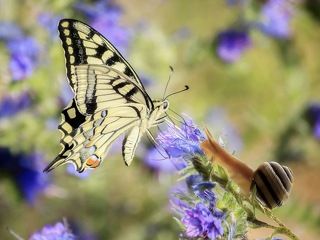 - Ну, взгляни на меня, лишь один только раз!