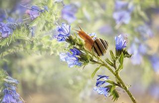 - Улетела моя любовь, а были бы у меня крылья....