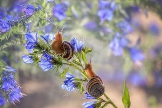 - Ну что ты там копошишься? Давай, взлетай!