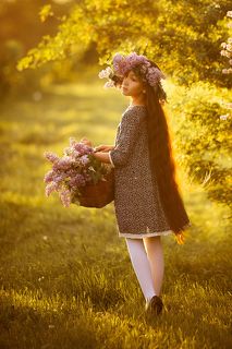 Поля на закате