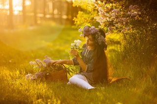 Поля на закате