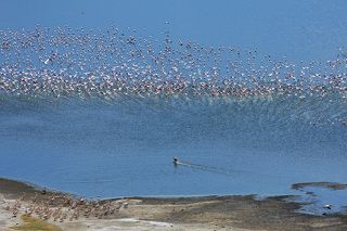 начало охоты