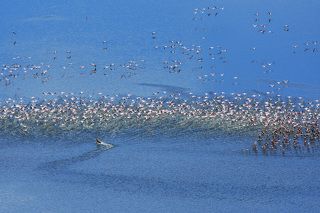 зигзаги удачи