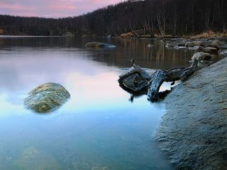 Птеродактиль