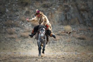 В зачет участнику идет не только контакт с птицей и насколько хорошо она обучена охоте, но умение произвести впечатление на зрителя...
Не важно, чем: одеждой,эффектными позами и пр.