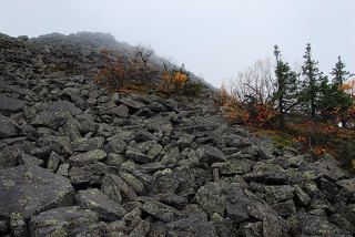 Подъём всё более крутой и вот уже лес редеет и становится каким то карликовым, искорёженным. До вершины уже рукой подать, болото уступает место каменистому склону. Здесь мы в последний раз видим землю внизу, дальше кромка облаков, проносящихся мимо с бешеной скоростью. Вершина где то там, в серой клубящейся дымке.