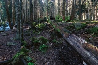 р. Муруджу...