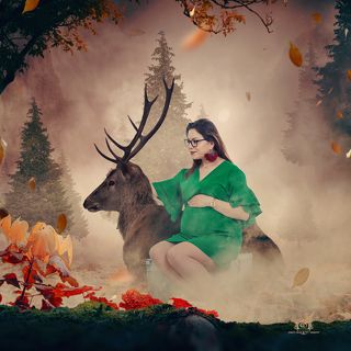 www.carasdesign.com