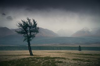 Вид на  Северо-Чуйский хребет и ущелье Актру