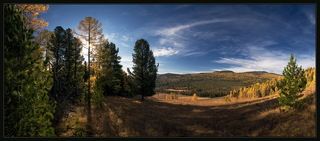 Зарисовка 1. Где-то после Семинского перевала