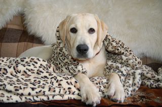 ...немного модель