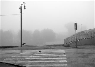 сентябрьское утро....