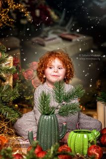 новогодняя фотосессия