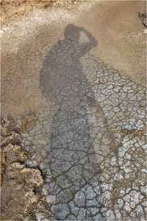 03. Солонча́к — почва, характеризующаяся наличием в верхних горизонтах легкорастворимых солей в количествах, препятствующих развитию большинства растений, за исключением галофитов (солерос, солянка, сведа, петросимония, аджерек, кермек и др.), которые также не образуют сомкнутого растительного покрова. Формируются в аридных или полуаридных условиях при выпотном водном режиме, характерны для почвенного покрова степей, полупустынь и пустынь.