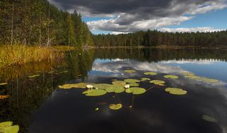 Ну вот - отличная погода;)