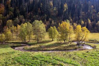 Река Дукка ...