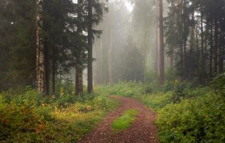 В такое утро ну никак не хотелось на работу. . .
