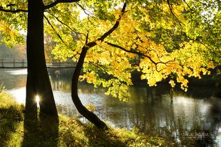 Солнечный лучик