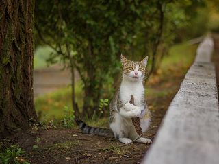 Да кого я обманываю!!!