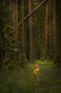 Когда деревья были большими