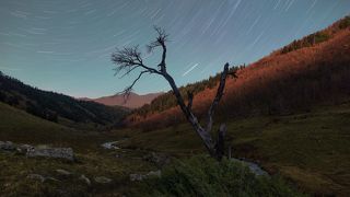 The voice of the stars