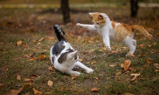 Как давно мы не виделись!